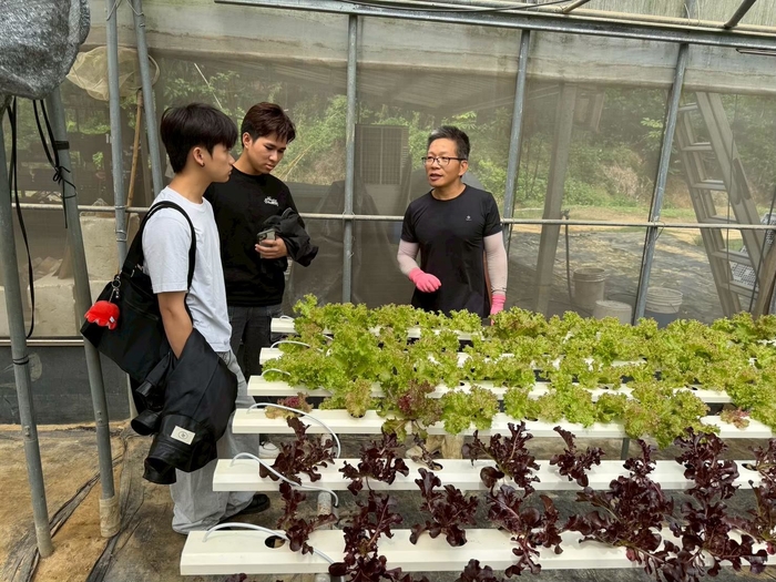 水耕菜園參觀與食農教育圖片