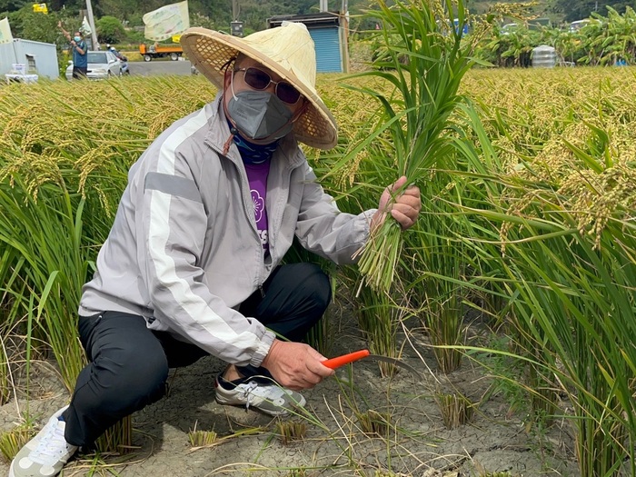2022.10.30 Harvest CelebrationImage